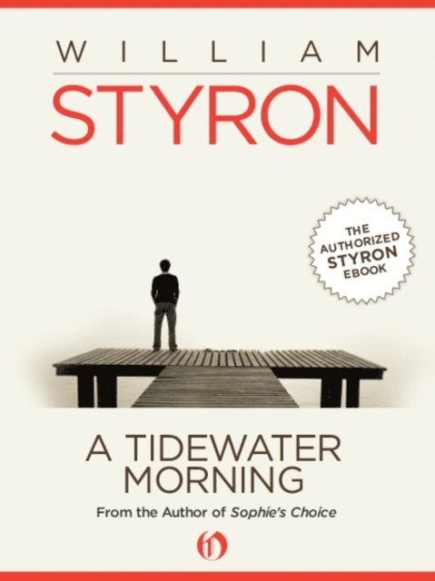 William Styron - Tidewater Morning, E-bok