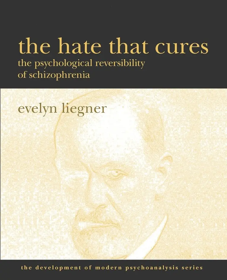 Evelyn Liegner - Hate That Cures, Häftad. Tillgänglighet: Lägg i varukorg