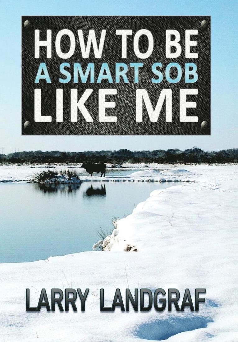 Larry Landgraf - How to Be a Smart SOB Like Me, Inbunden