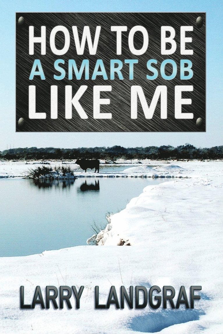Larry Landgraf - How to Be a Smart SOB Like Me, Häftad