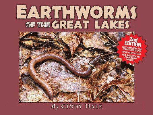 Cindy Hale - Earthworms of the Great Lakes, Second Edition, Häftad