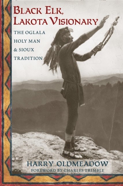 Harry Oldmeadow - Black Elk, Lakota Visionary, E-bok