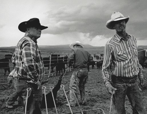 John Langmore - Open Range, Inbunden