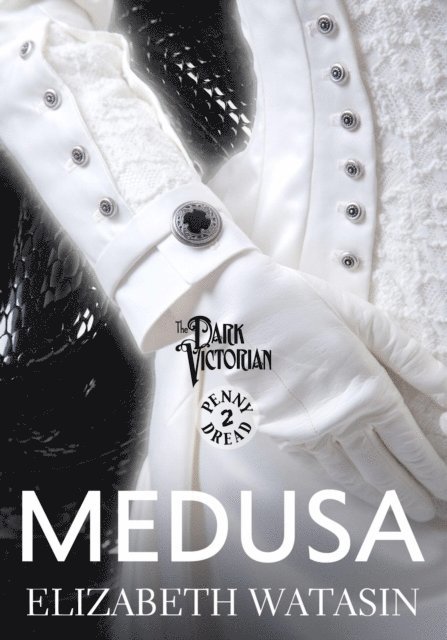 Elizabeth Watasin - Medusa: A Dark Victorian Penny Dread Vol 2, E-bok