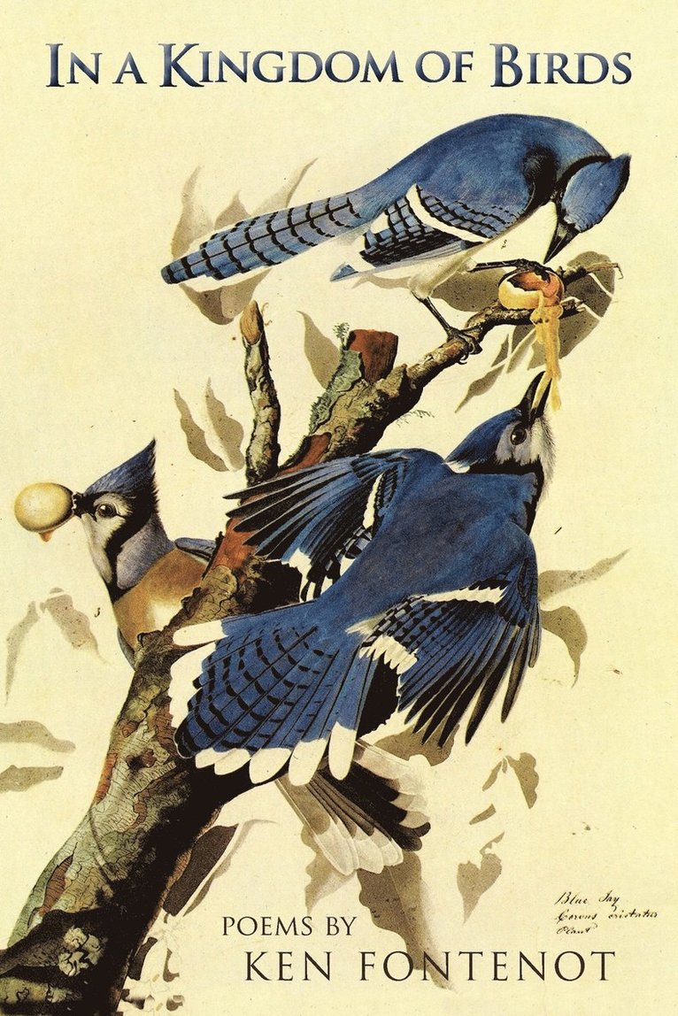 Ken Fontenot - In a Kingdom of Birds, Häftad
