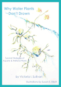 Victoria I. Sullivan - Why Water Plants Don't Drown: Survival Strategies of Aquatic and Wetland Plants, Häftad. Tillgänglighet: Lägg i varukorg