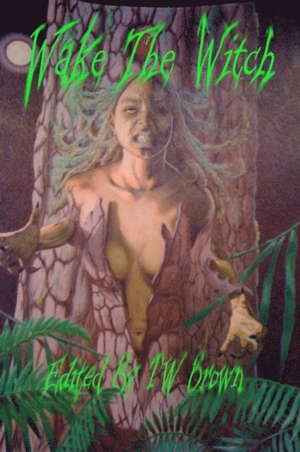 TW Brown - Wake the Witch, E-bok