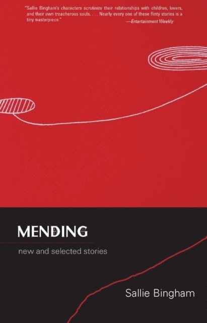 Sallie Bingham - Mending, E-bok