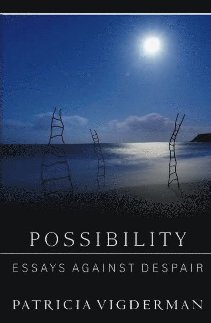 Patricia Vigderman - Possibility, E-bok