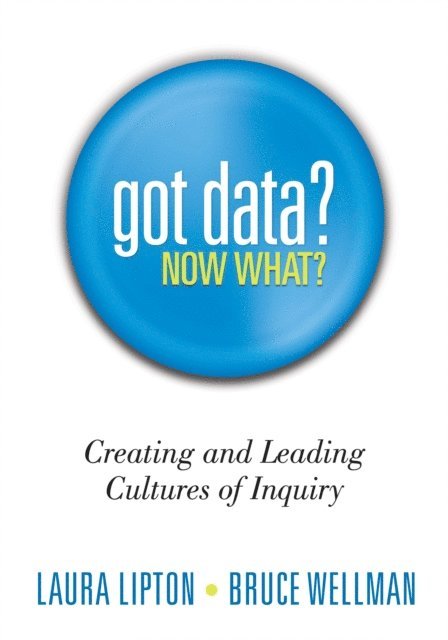 Bruce Wellman, Laura Lipton - Got Data? Now What?, E-bok