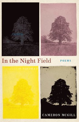 Cameron McGill - In the Night Field, Häftad
