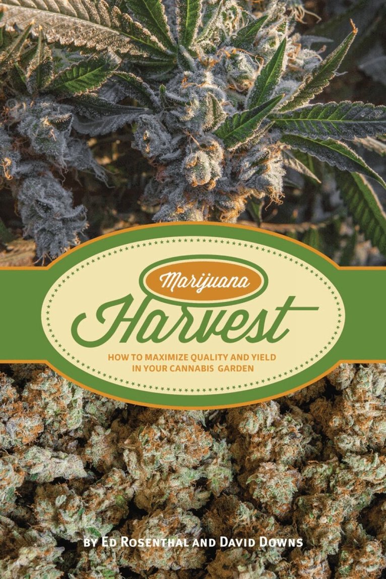 Ed Rosenthal, David Downs - Marijuana Harvest, Häftad