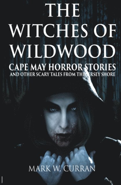 Mark W. Curran - Witches of Wildwood, E-bok