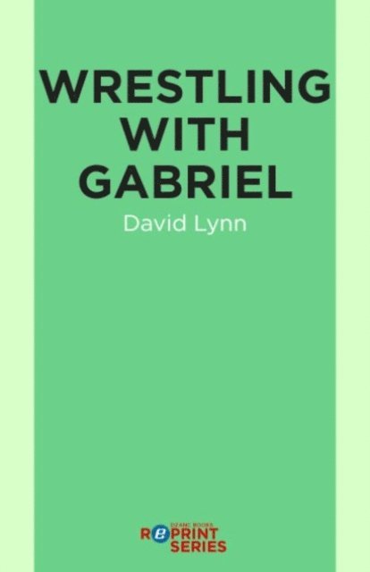 David Lynn - Wrestling With Gabriel, E-bok