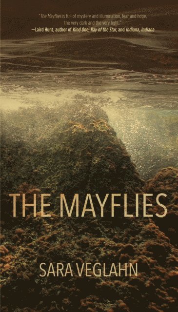Sara Veglahn - Mayflies, E-bok