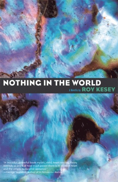 Roy Kesey - Nothing in the World, E-bok
