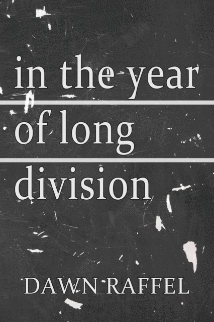 Dawn Raffel - In the Year of Long Division, E-bok