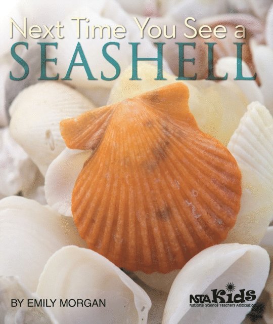 Emily Morgan - Next Time You See a Seashell, E-bok