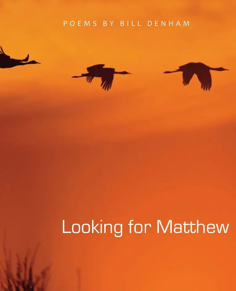 Bill Denham - Looking for Matthew, Häftad. Tillgänglighet: Lägg i varukorg