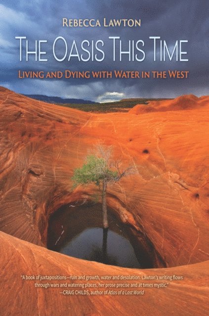Rebecca Lawton - Oasis This Time, E-bok
