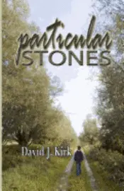 David J. Kirk - Particular Stones, Häftad. Tillgänglighet: Lägg i varukorg