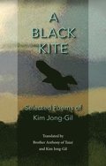 A Black Kite
