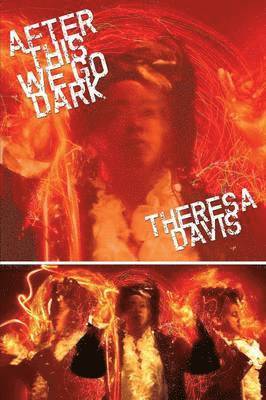 Theresa Davis - After This We Go Dark, Häftad