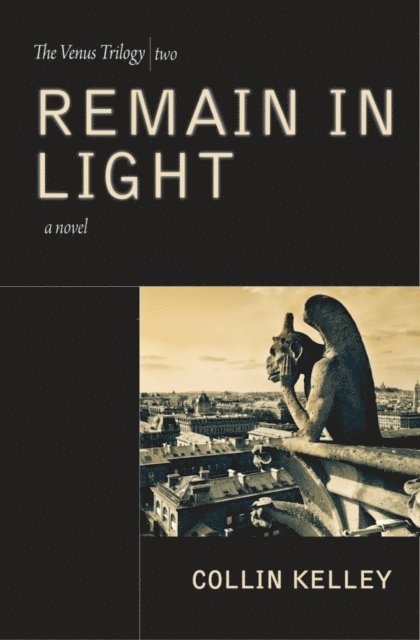 Collin Kelley - Remain In Light, E-bok