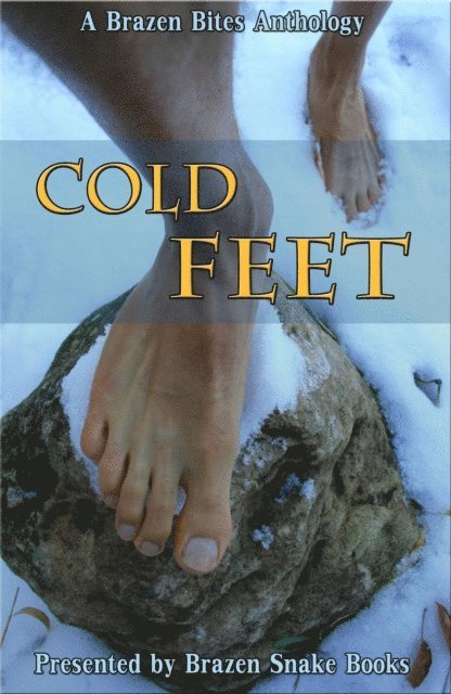 Jamie DeBree - Cold Feet, E-bok