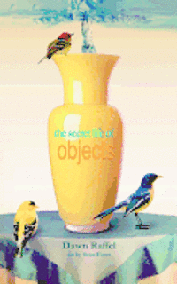Dawn Raffel - The Secret Life of Objects, Häftad