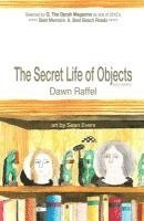Dawn Raffel - The Secret Life of Objects: (color illustrated edition), Häftad