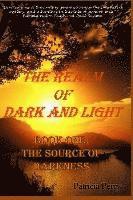 Patricia Perry - The Realm of Dark and Light: Book One: The Source of Darkness, Häftad