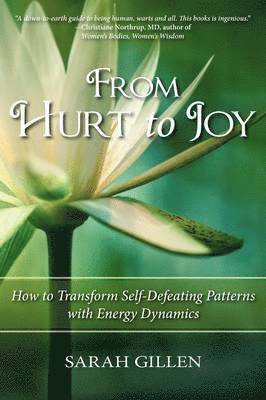 Sarah Gillen - From Hurt to Joy, Häftad