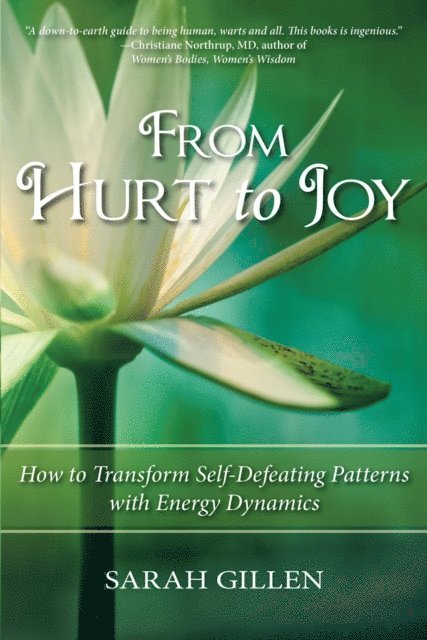 Sarah Gillen - From Hurt to Joy, How to Transform Self-Defeating Patterns with Energy Dynamics, E-bok