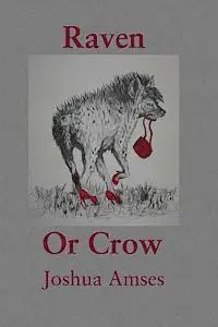 Joshua Amses - Raven or Crow, Häftad. Tillgänglighet: Lägg i varukorg