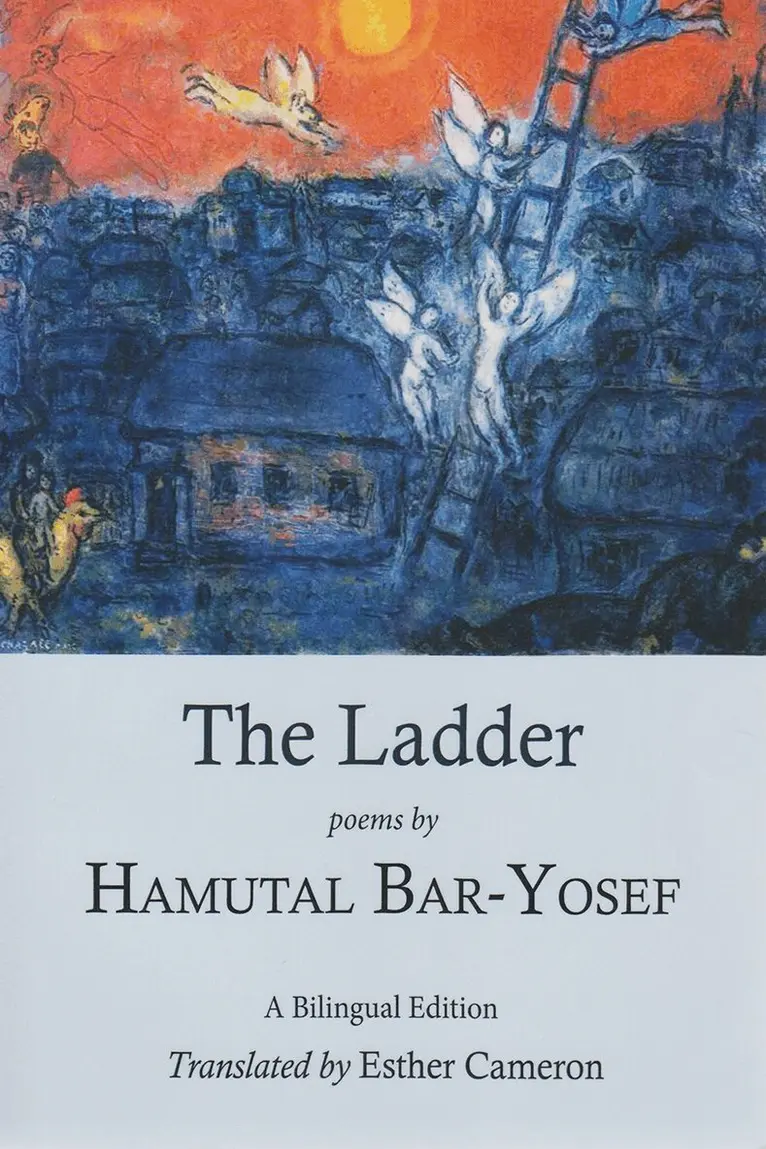 Hamutal Bar-Yosef - Ladder, Häftad. Tillgänglighet: Tillfälligt slut