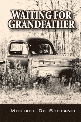 Michael De Stefano - Waiting for Grandfather, Häftad