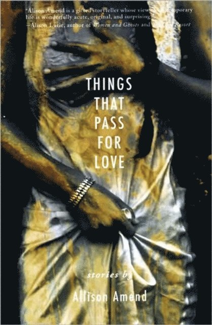 Allison Amend - Things That Pass for Love, E-bok