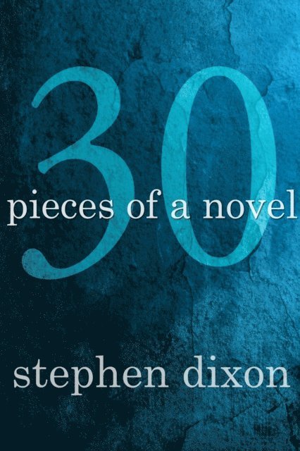 Stephen Dixon - 30 Pieces of a Novel, E-bok