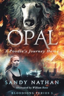 Sandy Nathan - Opal: A Poodle's Journey Home, Häftad. Tillgänglighet: Lägg i varukorg