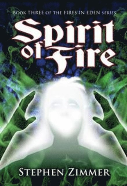Stephen Zimmer - Spirit of Fire, E-bok
