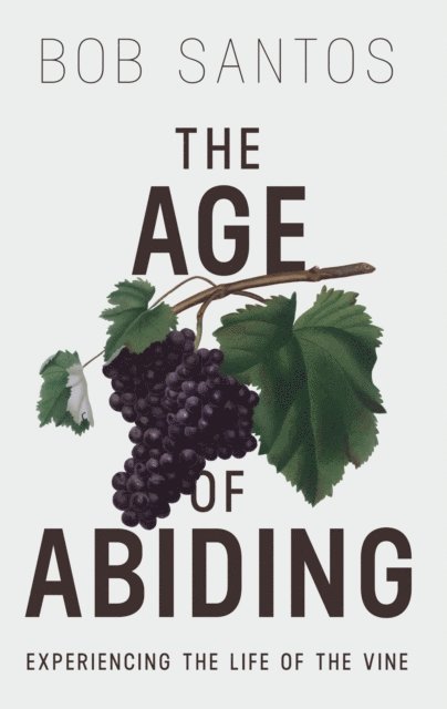 Bob Santos - Age of Abiding, E-bok