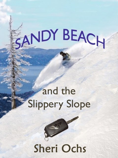 Sheri Colberg-Ochs - Sandy Beach and the Slippery Slope, E-bok. Tillgänglighet: Lägg i varukorg