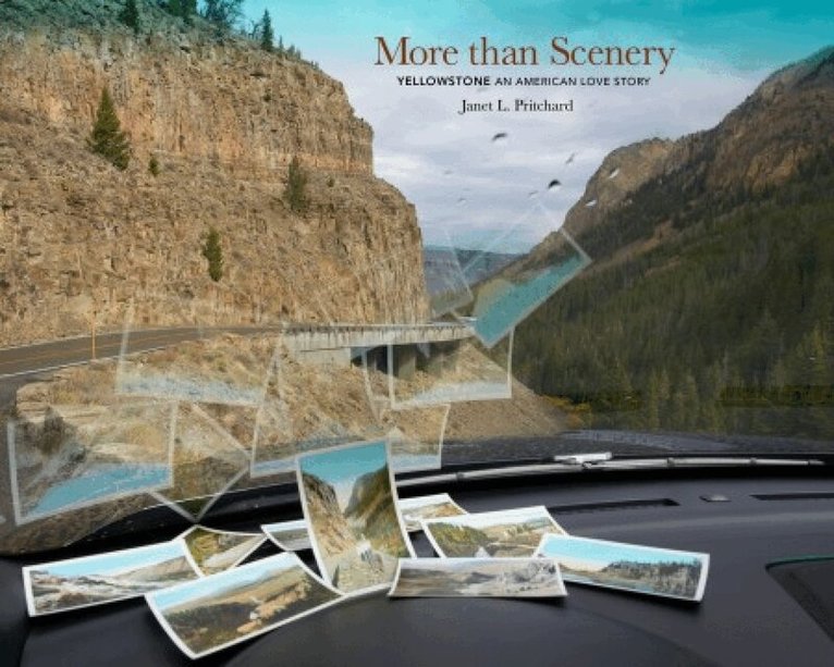 Janet L Pritchard - More than Scenery, Inbunden