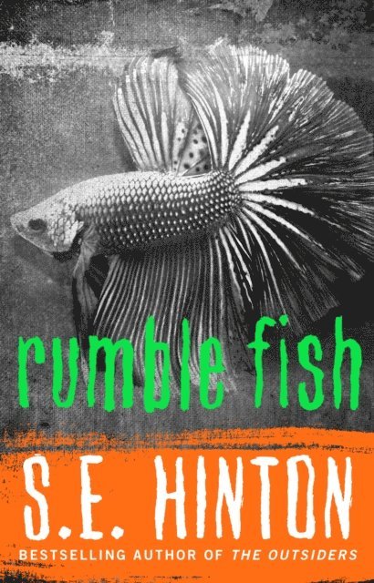 S. E. Hinton - Rumble Fish, E-bok