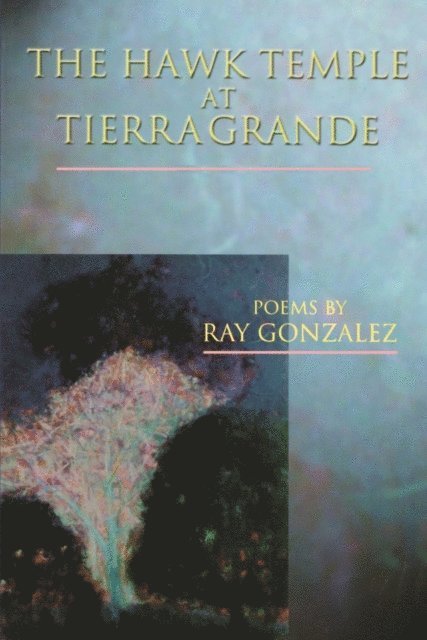 Ray Gonzalez - Hawk Temple at Tierra Grande, E-bok