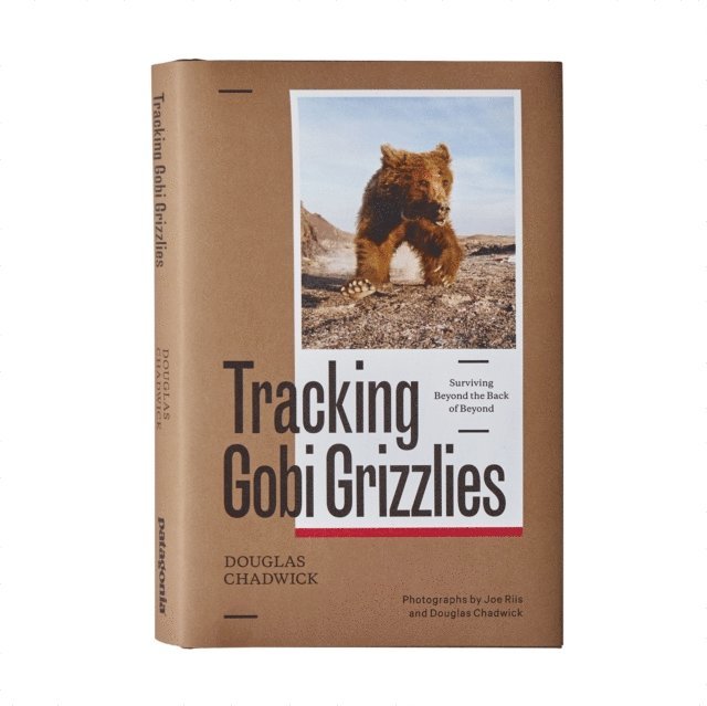 Douglas Chadwick - Tracking Gobi Grizzlies, E-bok