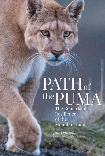 Jim Williams - Path of the Puma, E-bok