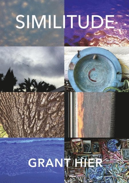 Grant Hier - Similitude, E-bok