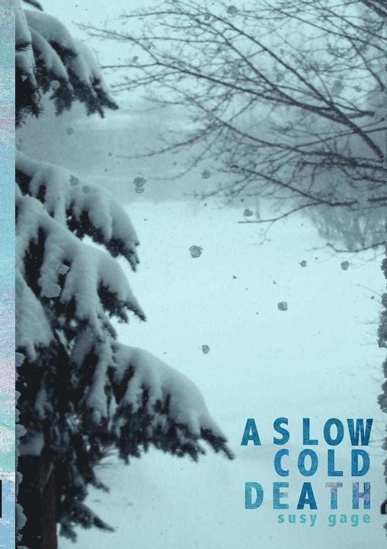 Susy Gage - A Slow Cold Death, Häftad
